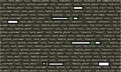Een voorbeeld van de gelekte data (Afbeelding via CyberNews)
