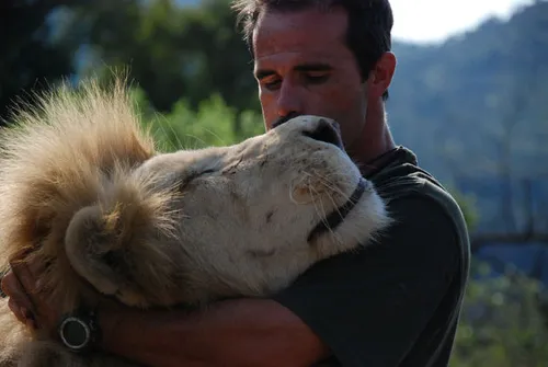 Leeuwenfluisteraar Kevin Richardson