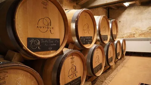 Hier rust de Chardonnay bij Maison Auvigue