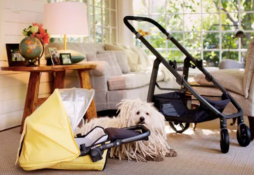 markzuckerberg beast child