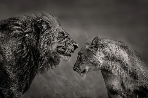 mohammed yousef kuwait shortlist professional environment 2016 7 pr