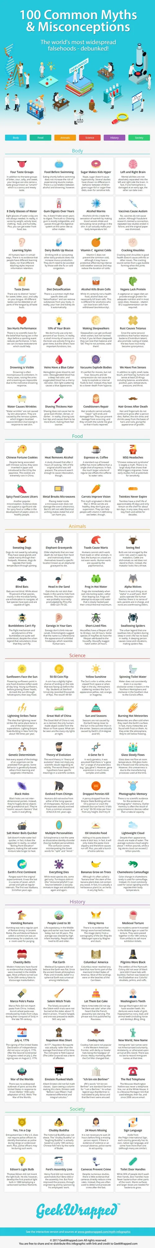 Myths-Misconceptions-Infographic