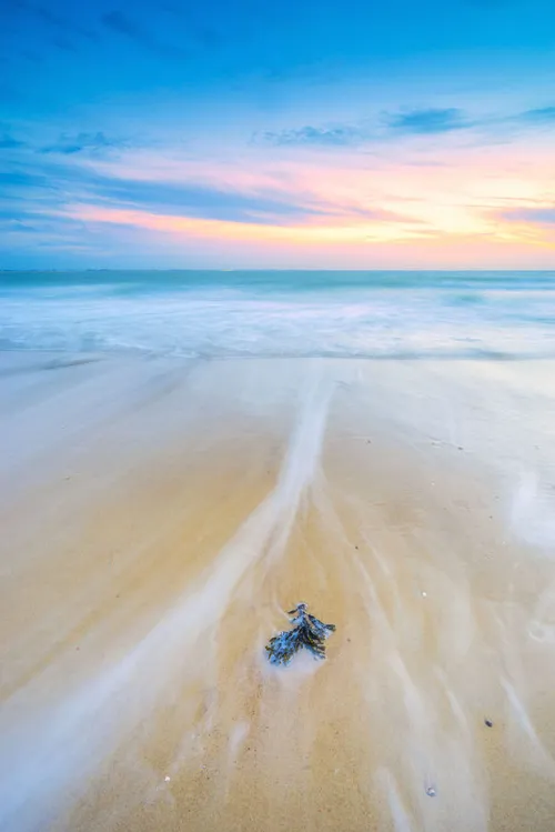 <em>De Noordzee<\/em>