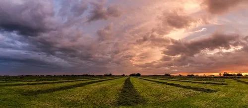 Plattelandspanorama \u00a9 Nick Knol (17 jaar).