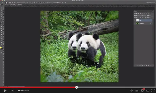 photoshop-tutorials-van-het-wereld-natuu.jpg