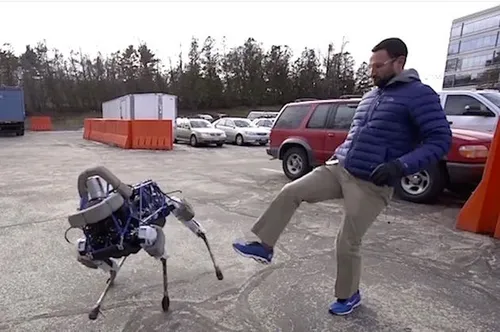 Robothond spot omvalle