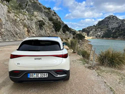 smart 3 rear