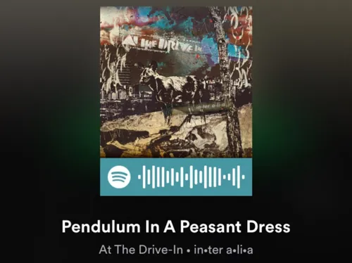 Zo zien de codes er uit als je een nummer op mobiel afspeelt.