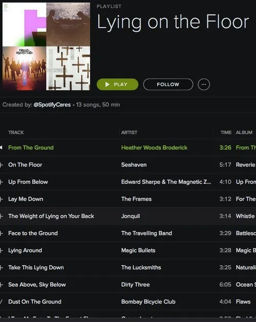 spotify-zeghetmeteenplaylist-04