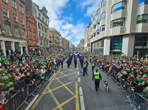 St Patricks Day honden