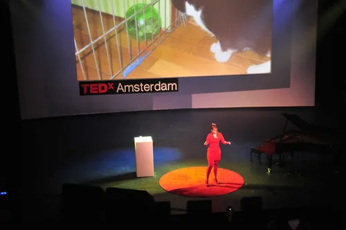 tinkebell-op-tedx-niets-is-wat-het-lijkt.jpg