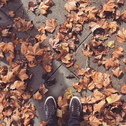 tumblr inline ngndtegnoq1qm4rc3