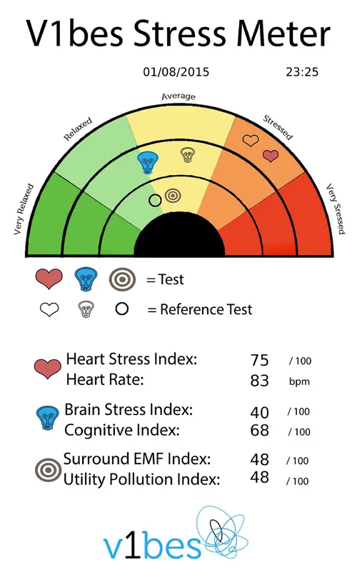Voorbeeld stress meting