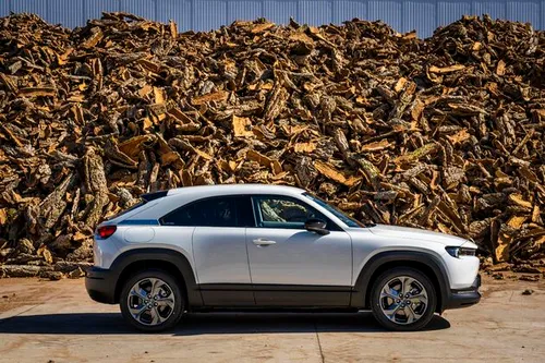 Voor de berg kurkafval bij Amorim