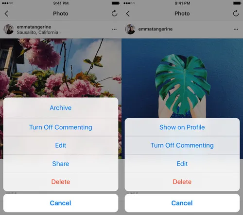 voorbeeld in profiel plaatsen