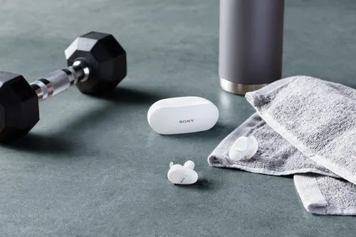 <em>De WF-SP800N-oordopjes<\/em><em><\/em>