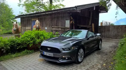 Bijzondere interesse van `2 mustangs`