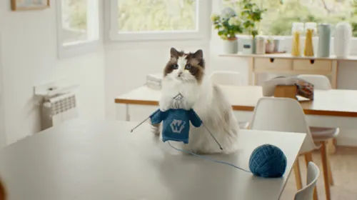 Wunda - Cat - knitting