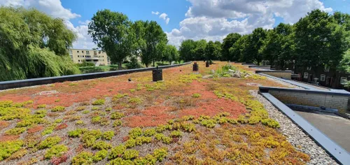 Display-Duurzaam-groen-dak
