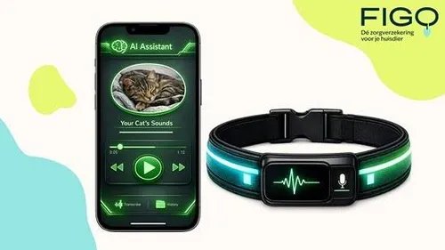 figo