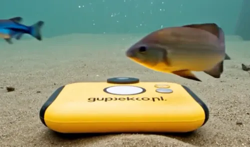 Guppekop 2026-04-01 14.45.21