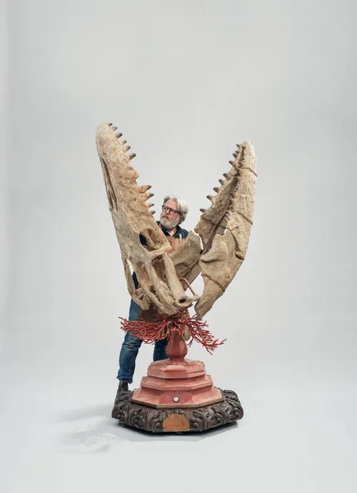 Relics-Mosasaurus-02-Jaap-Sinke-©DSvT