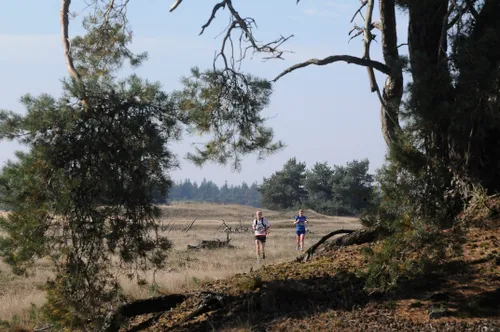 1096 8aef86d3b5ea5fc88aa2538319103fdf