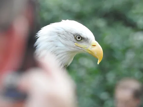 20187818 1391659364202506 1735104802 n