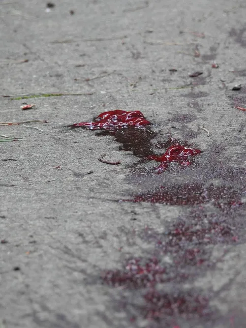 20707759 1409476832420759 251567105 n