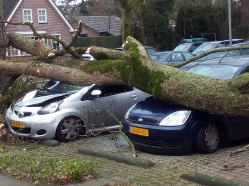 26981389 327997551036639 1358600456 o