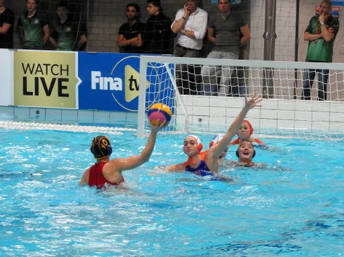 27606102 1571197166248724 829041135 o