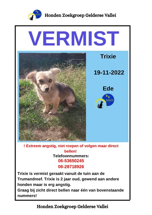 316135085 688604399276045 6628150104618932485 n