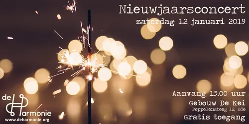 banner nieuwjaarsconcert 2019 01 1