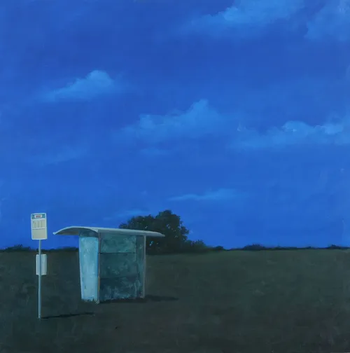 bushokje bij nacht groot