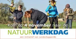 campagnebeeld nwd 300x154