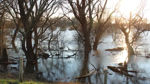 chris ouboter edenieuwsnl