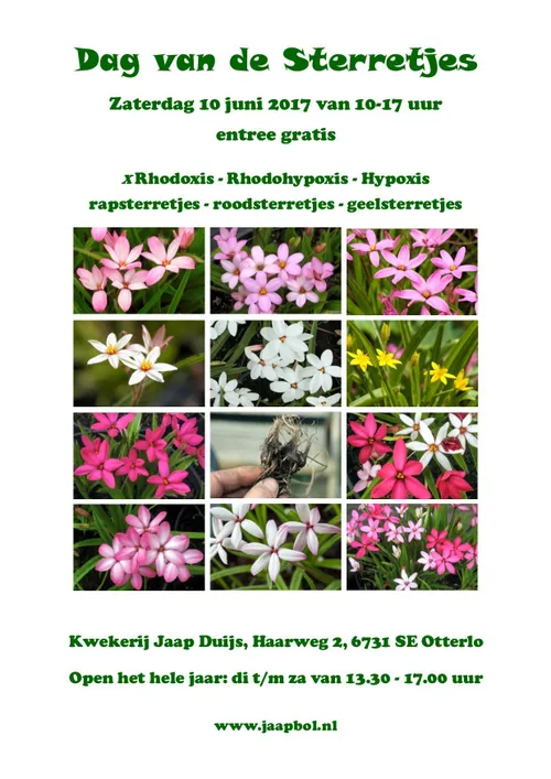 dag van de sterretjes 2017