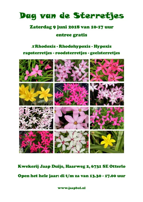 dag van de sterrretjes 9 juni 2018