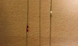 e2f4a1a5 cf7d 49f9 9220 b8265a878b16 thumb251