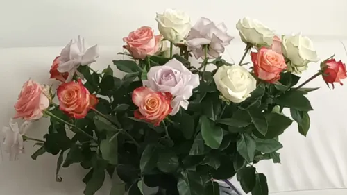 Van harte gefeliciteerd! Redactie Ede.Nieuws.nl