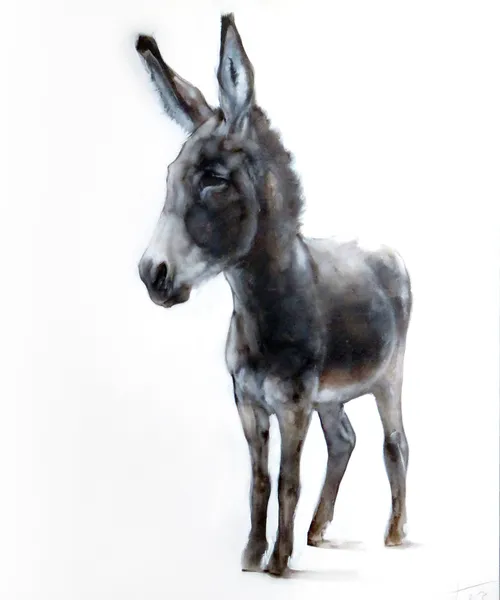 jasper hulshoff pol ezel 2023 100x80cm