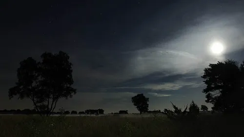 midzomernachtwandeling1