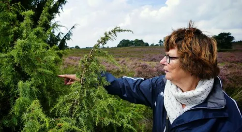 p1050916 verkleind 640x350