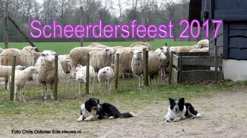 scheerdersfeest 2017