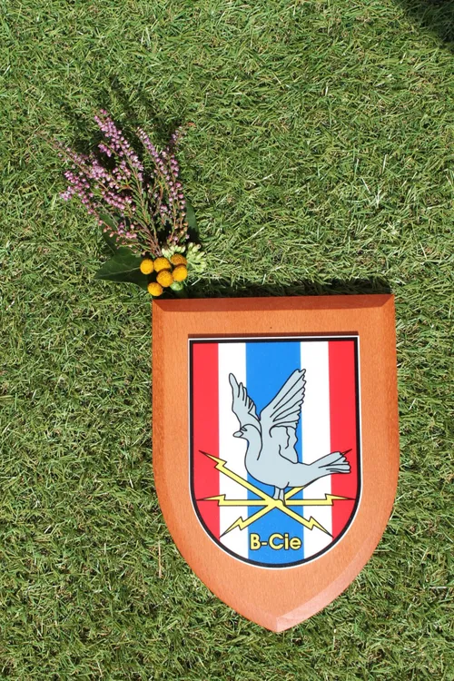 schild e1566885136173