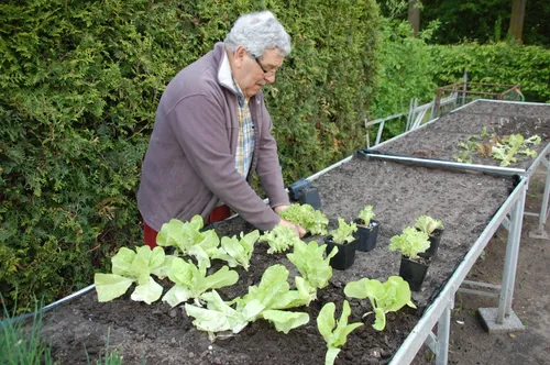 toon tuin mei 2018 4