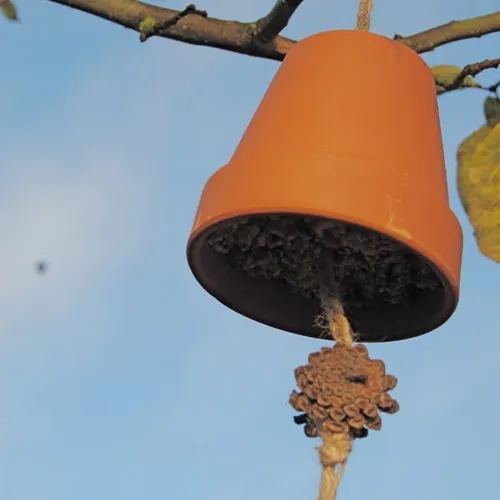 vogel voeder klok 01