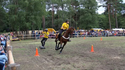 weeken van het paard nphv chris ouboter 2019