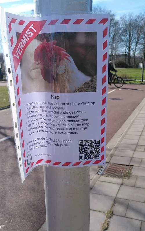 Vermist-poster