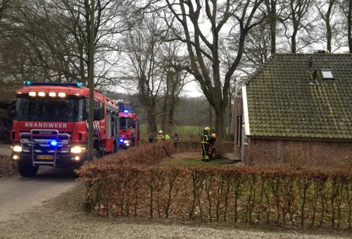 11en brand1